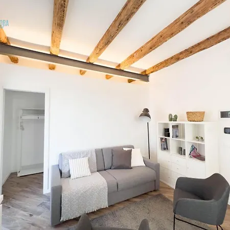 Apartment Basovizza 3 Chanel Tirabora Short Rent